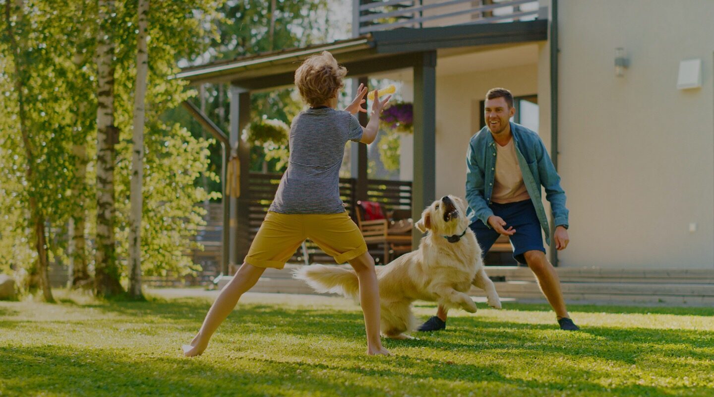 Father and son playing with Golden Retriever in their yard